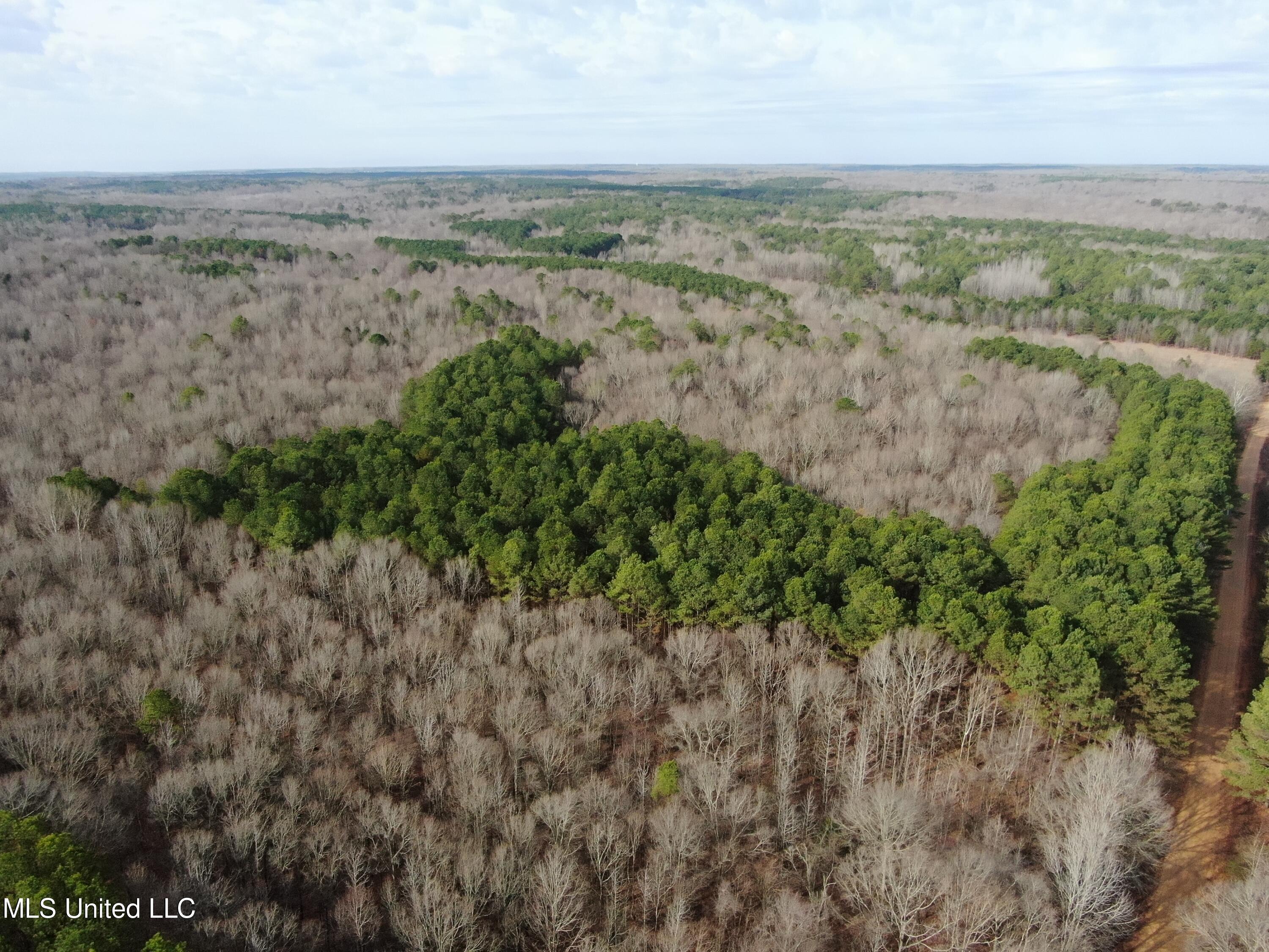 West Ruffin Road Enid, MS 38927 - Photo 20 of 40 19