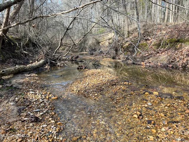 $700,000 | West Ruffin Road, Enid, MS 38927