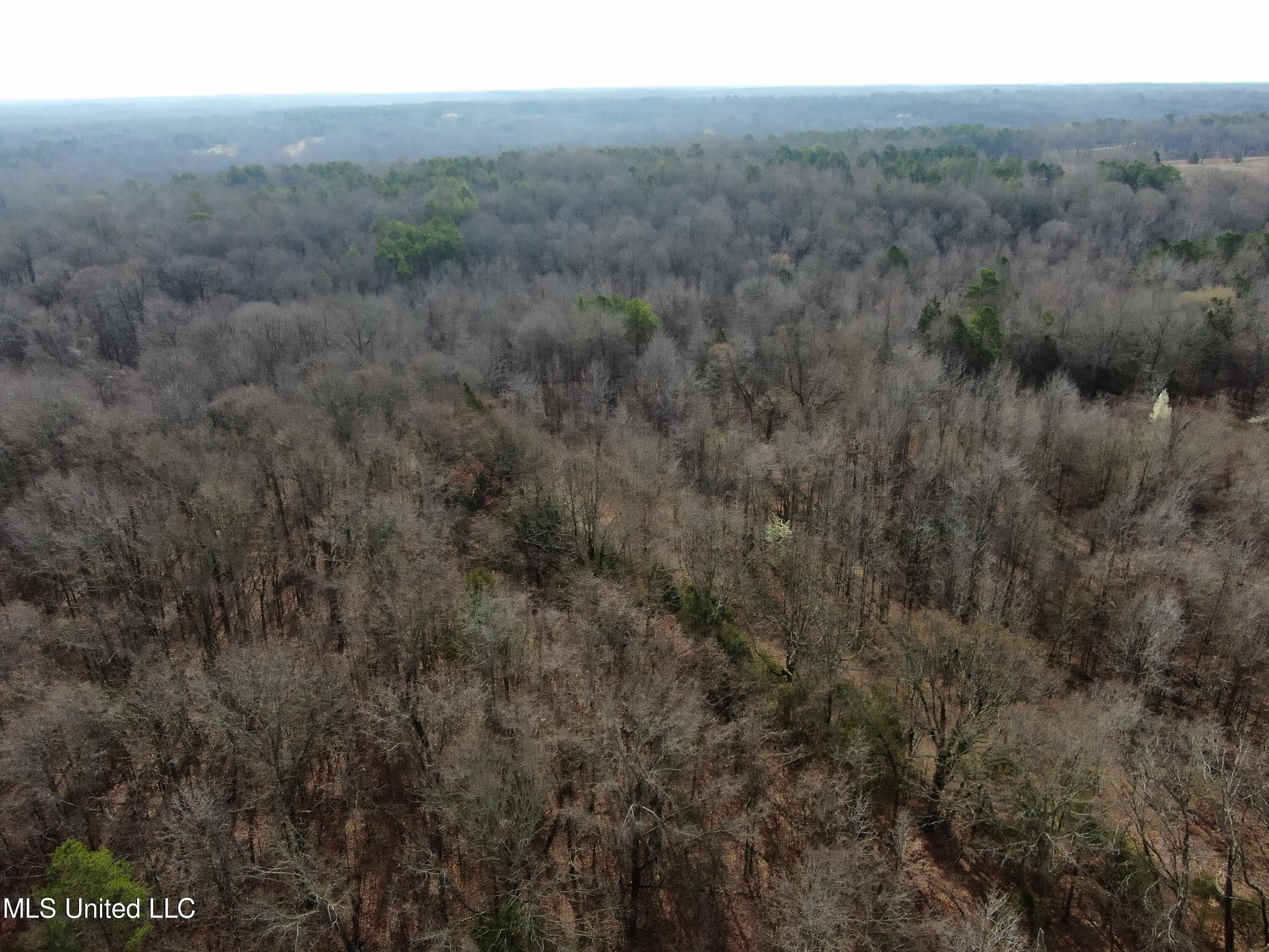 West Ruffin Road Enid, MS 38927 - Photo 22 of 40 14