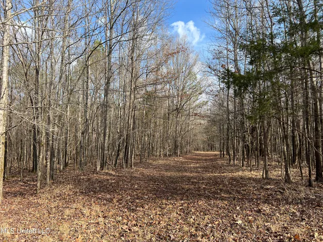 $700,000 | West Ruffin Road, Enid, MS 38927