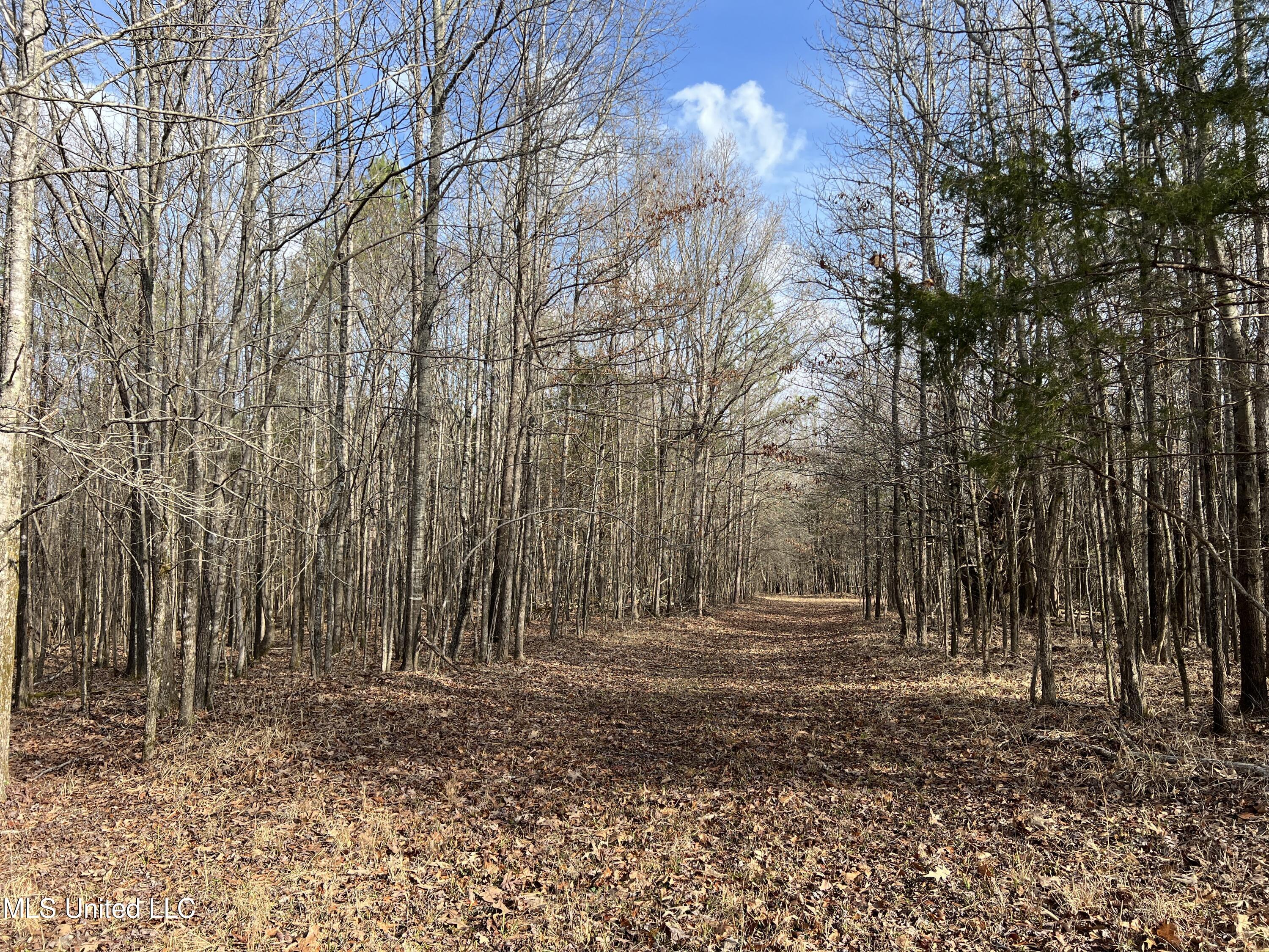 West Ruffin Road Enid, MS 38927 - Photo 24 of 40 18