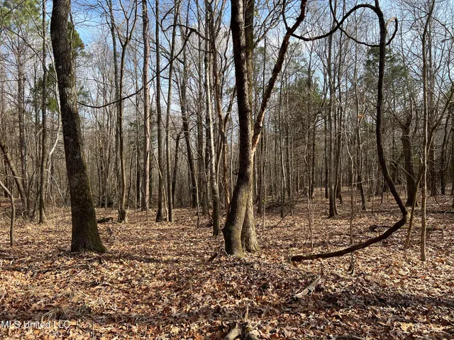 $700,000 | West Ruffin Road, Enid, MS 38927