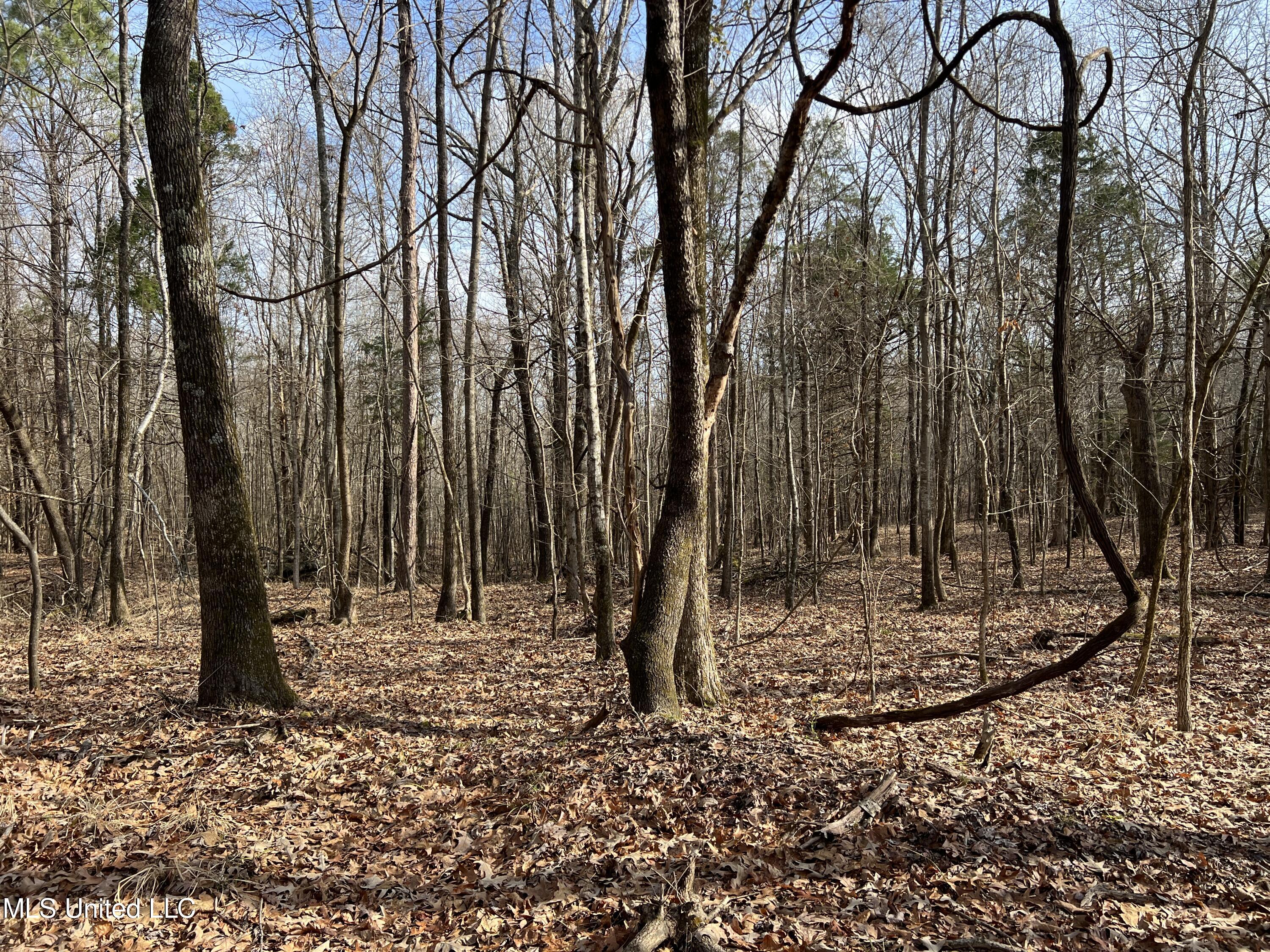 West Ruffin Road Enid, MS 38927 - Photo 25 of 40 16