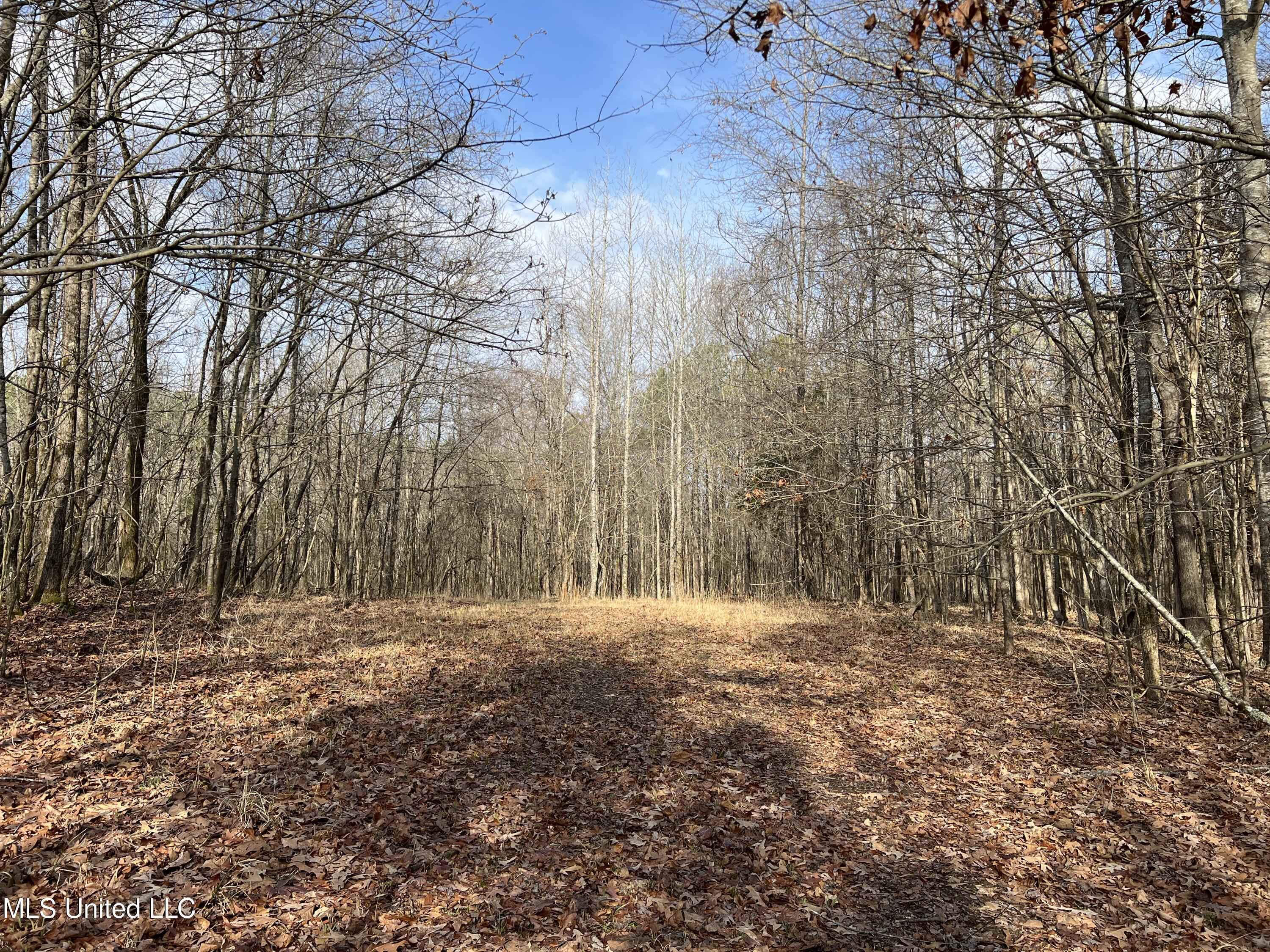 West Ruffin Road Enid, MS 38927 - Photo 26 of 40 15