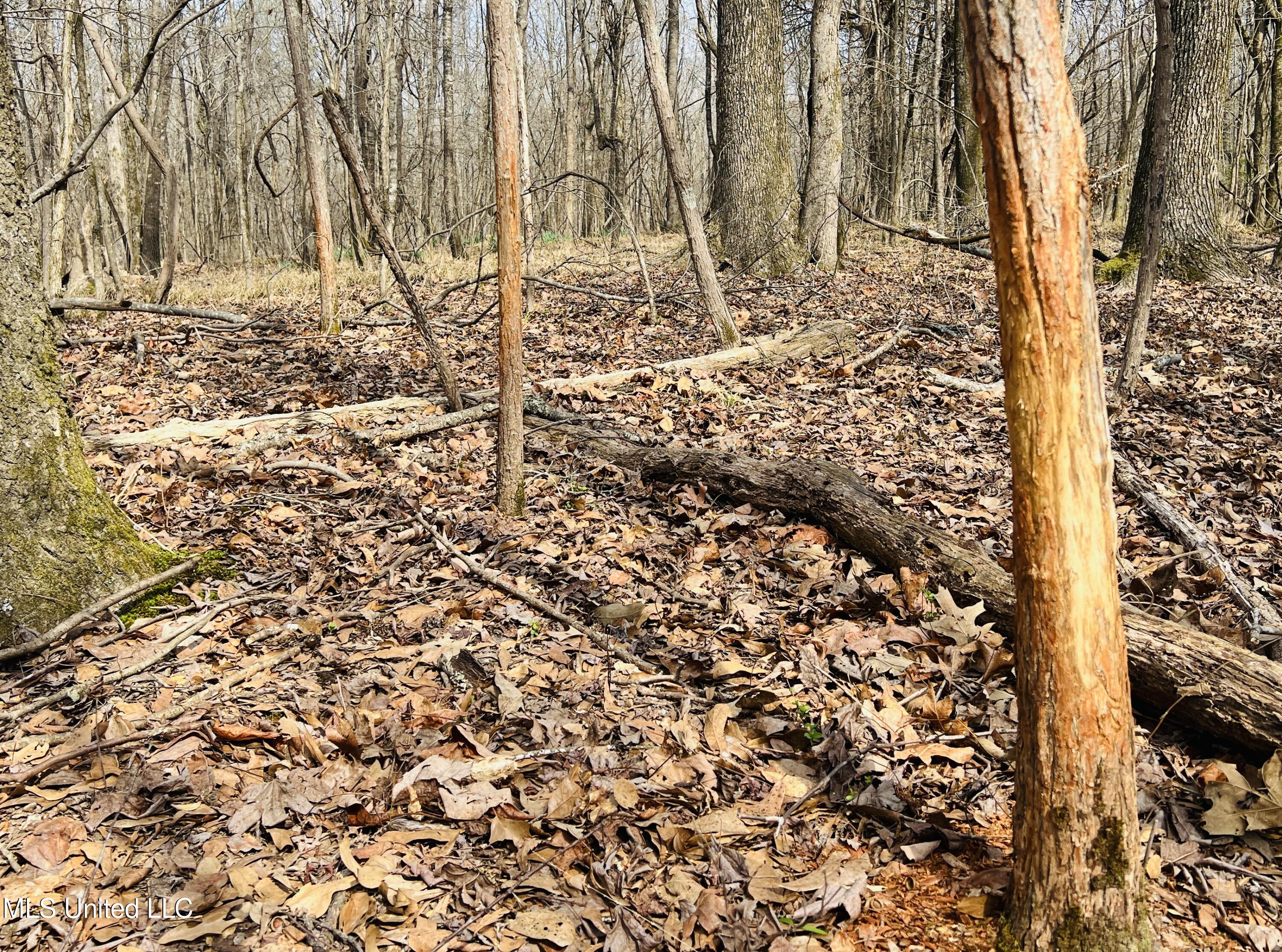 West Ruffin Road Enid, MS 38927 - Photo 27 of 40 12