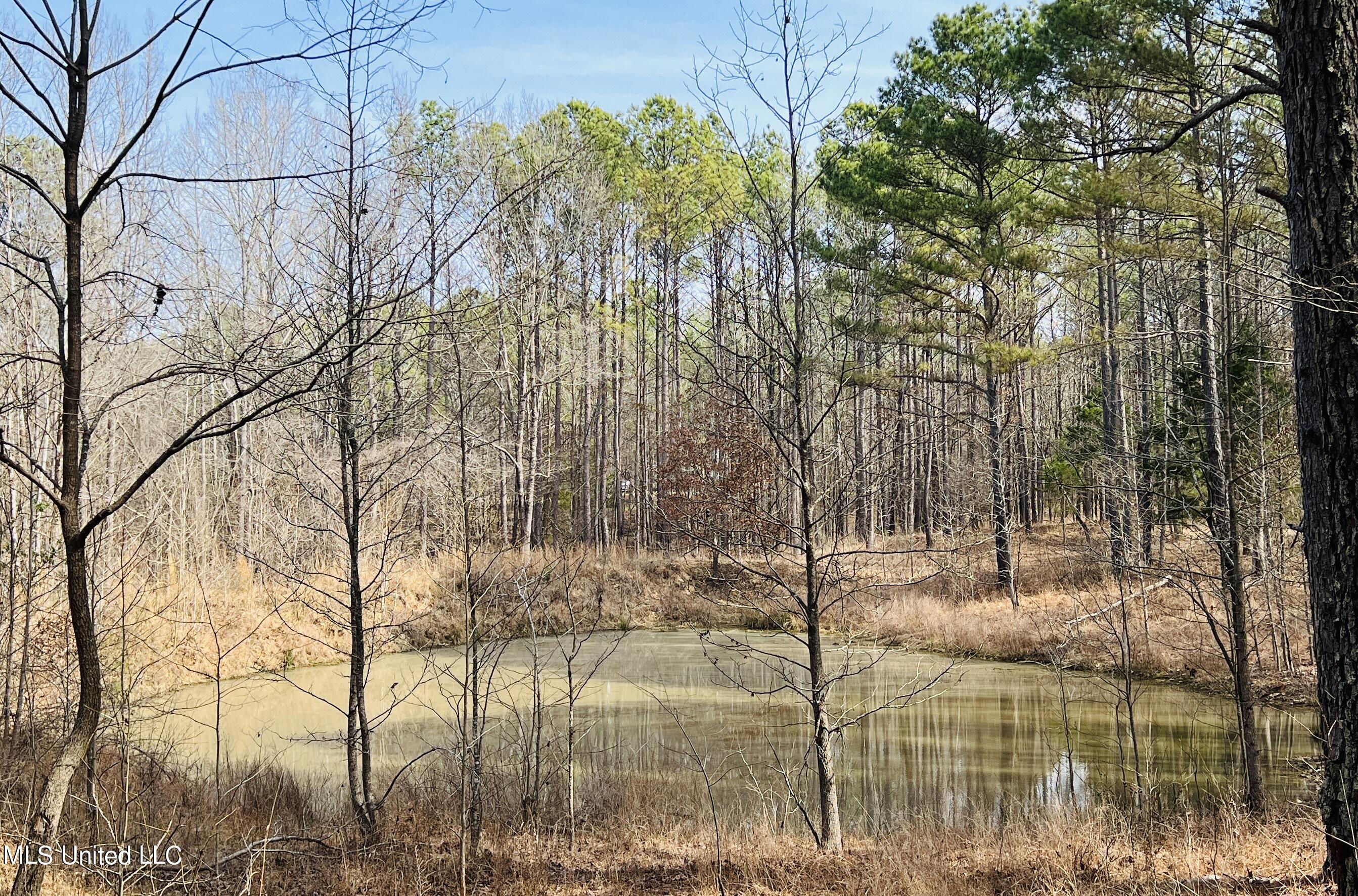 West Ruffin Road Enid, MS 38927 - Photo 29 of 40 10