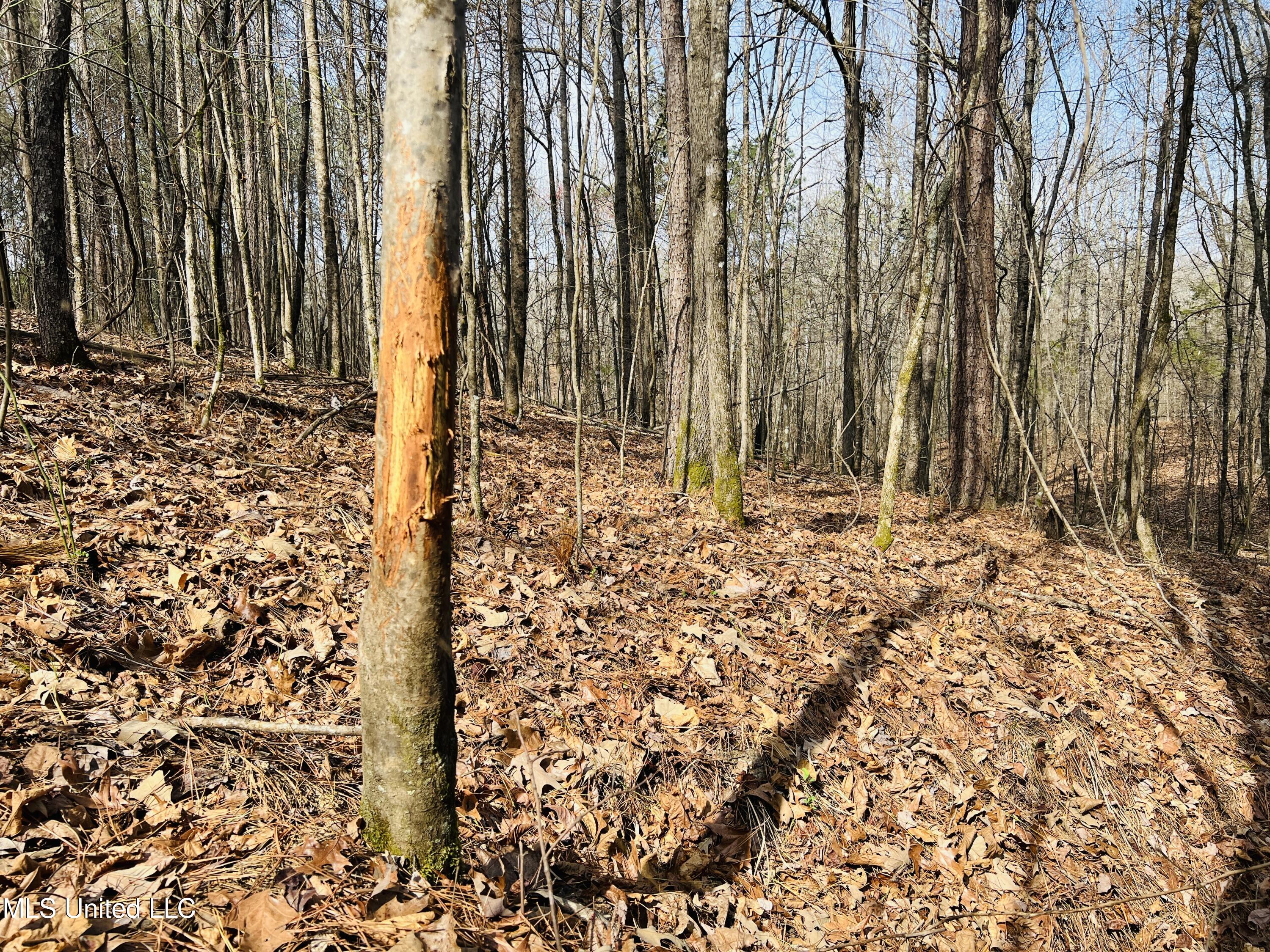 West Ruffin Road Enid, MS 38927 - Photo 30 of 40 9