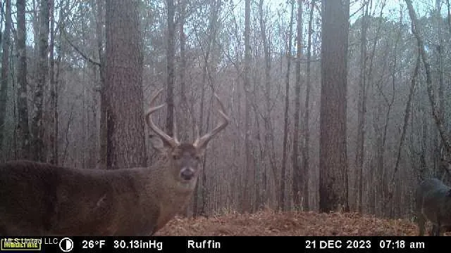 $700,000 | West Ruffin Road, Enid, MS 38927