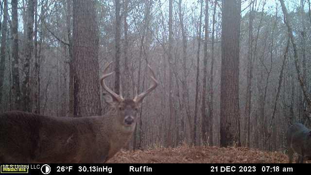 West Ruffin Road Enid, MS 38927 - Photo 3 of 40 image638429239399961680