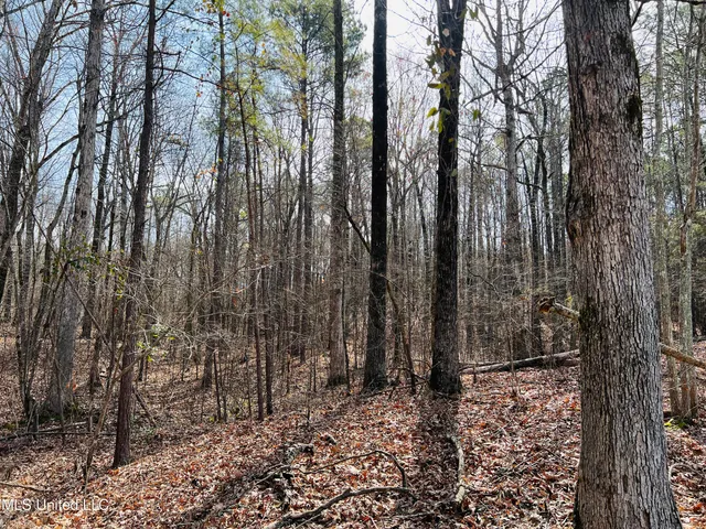 $700,000 | West Ruffin Road, Enid, MS 38927