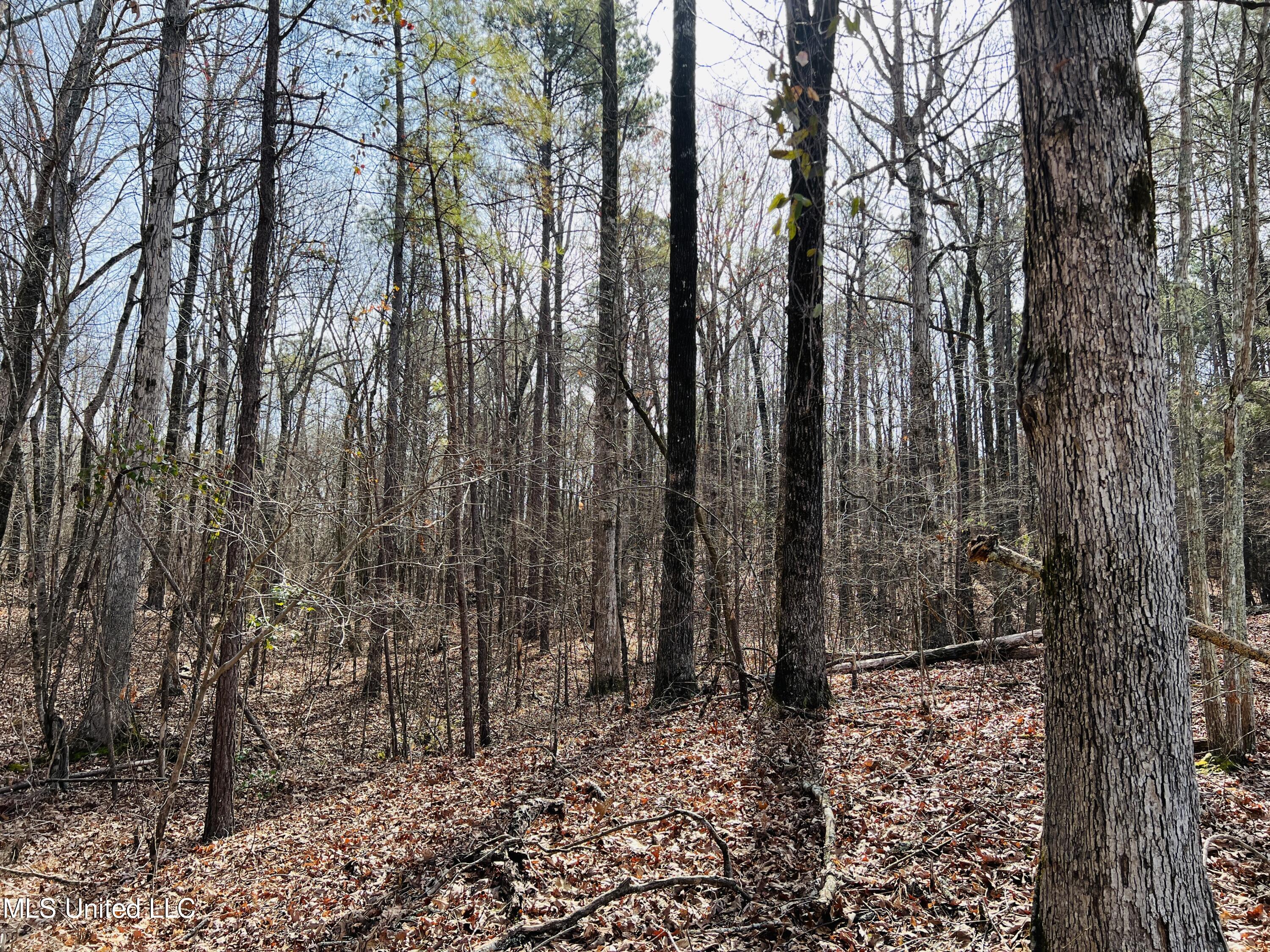 West Ruffin Road Enid, MS 38927 - Photo 31 of 40 8