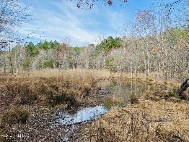 $700,000 | West Ruffin Road, Enid, MS 38927