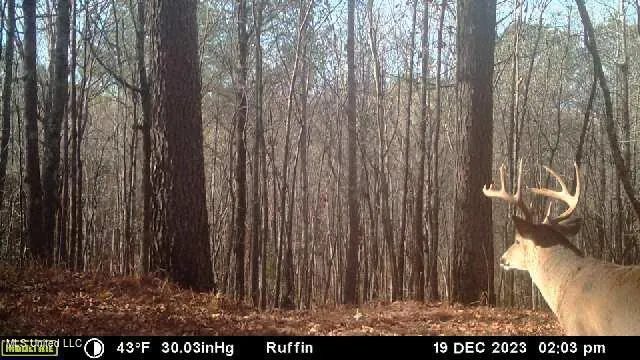 $700,000 | West Ruffin Road, Enid, MS 38927