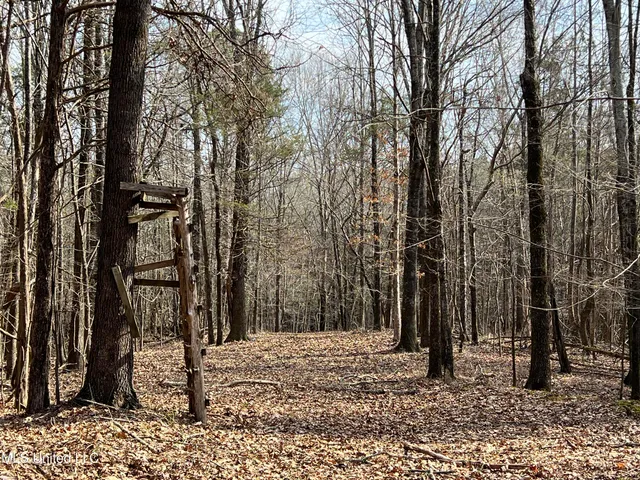 $700,000 | West Ruffin Road, Enid, MS 38927