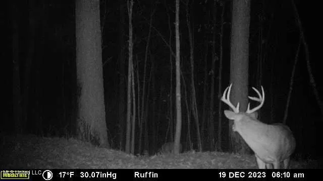 $700,000 | West Ruffin Road, Enid, MS 38927