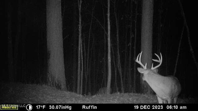 West Ruffin Road Enid, MS 38927 - Photo 38 of 40 image638429242264849340