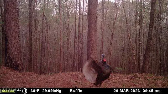 $700,000 | West Ruffin Road, Enid, MS 38927