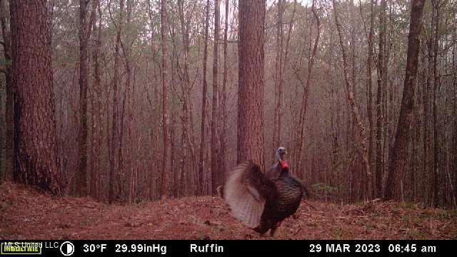 West Ruffin Road Enid, MS 38927 - Photo 39 of 40 image638429243084318271