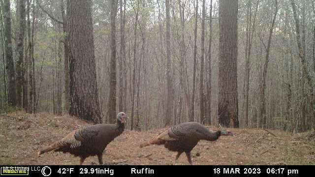 West Ruffin Road Enid, MS 38927 - Photo 40 of 40 image638429243226487412