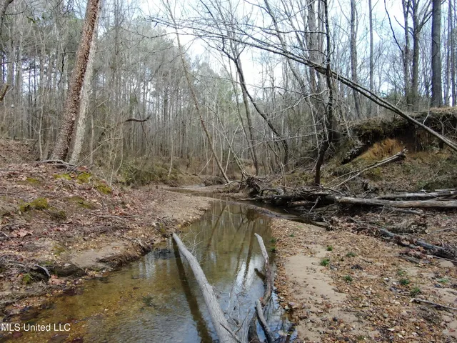 $700,000 | West Ruffin Road, Enid, MS 38927