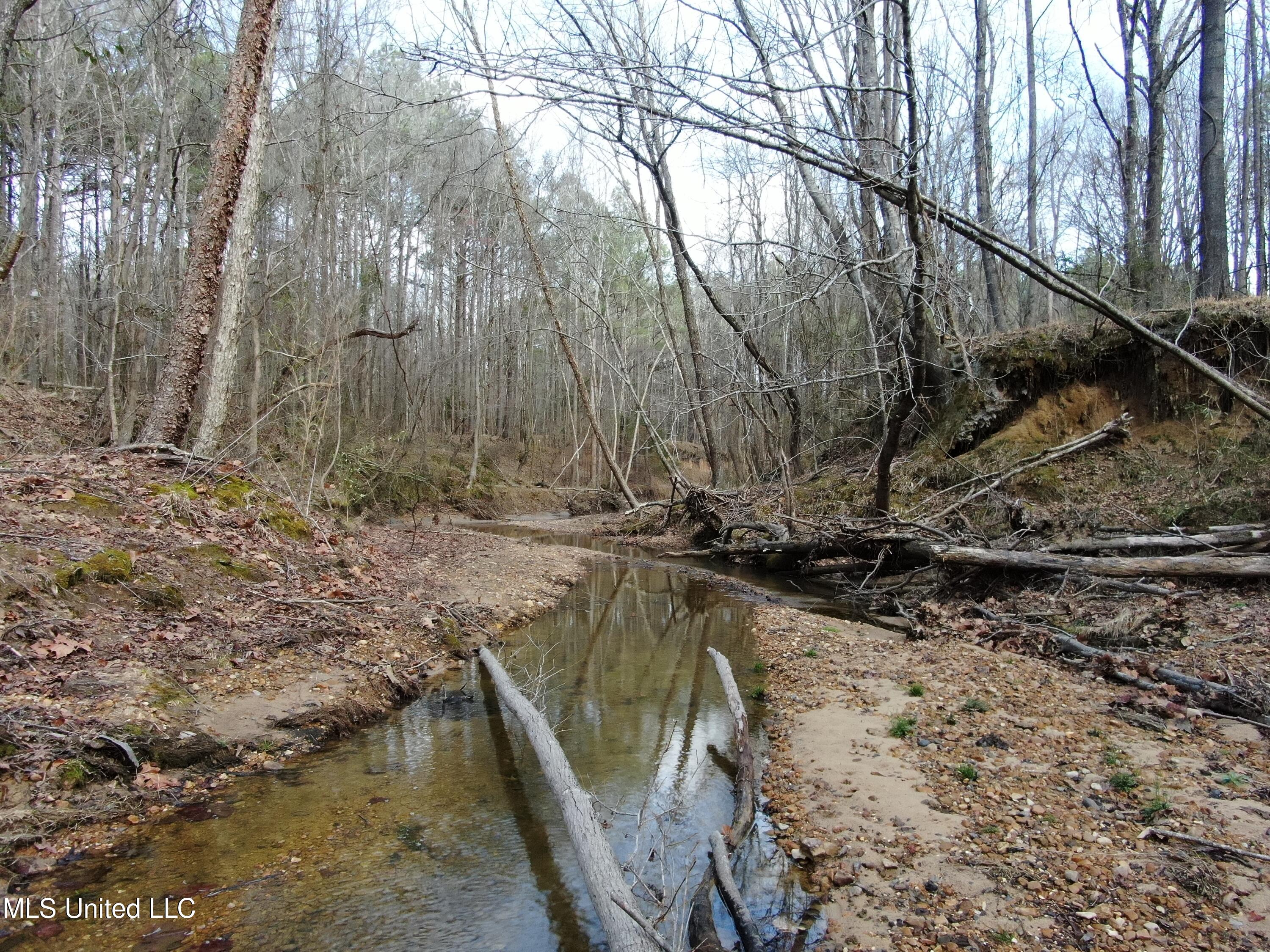 West Ruffin Road Enid, MS 38927 - Photo 5 of 40 17