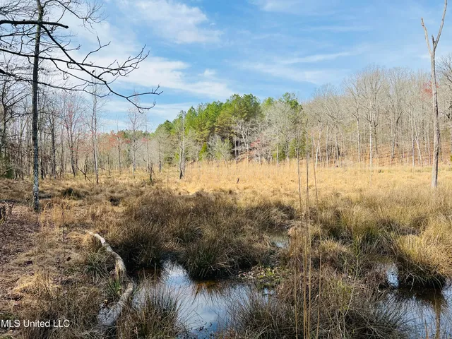 $700,000 | West Ruffin Road, Enid, MS 38927