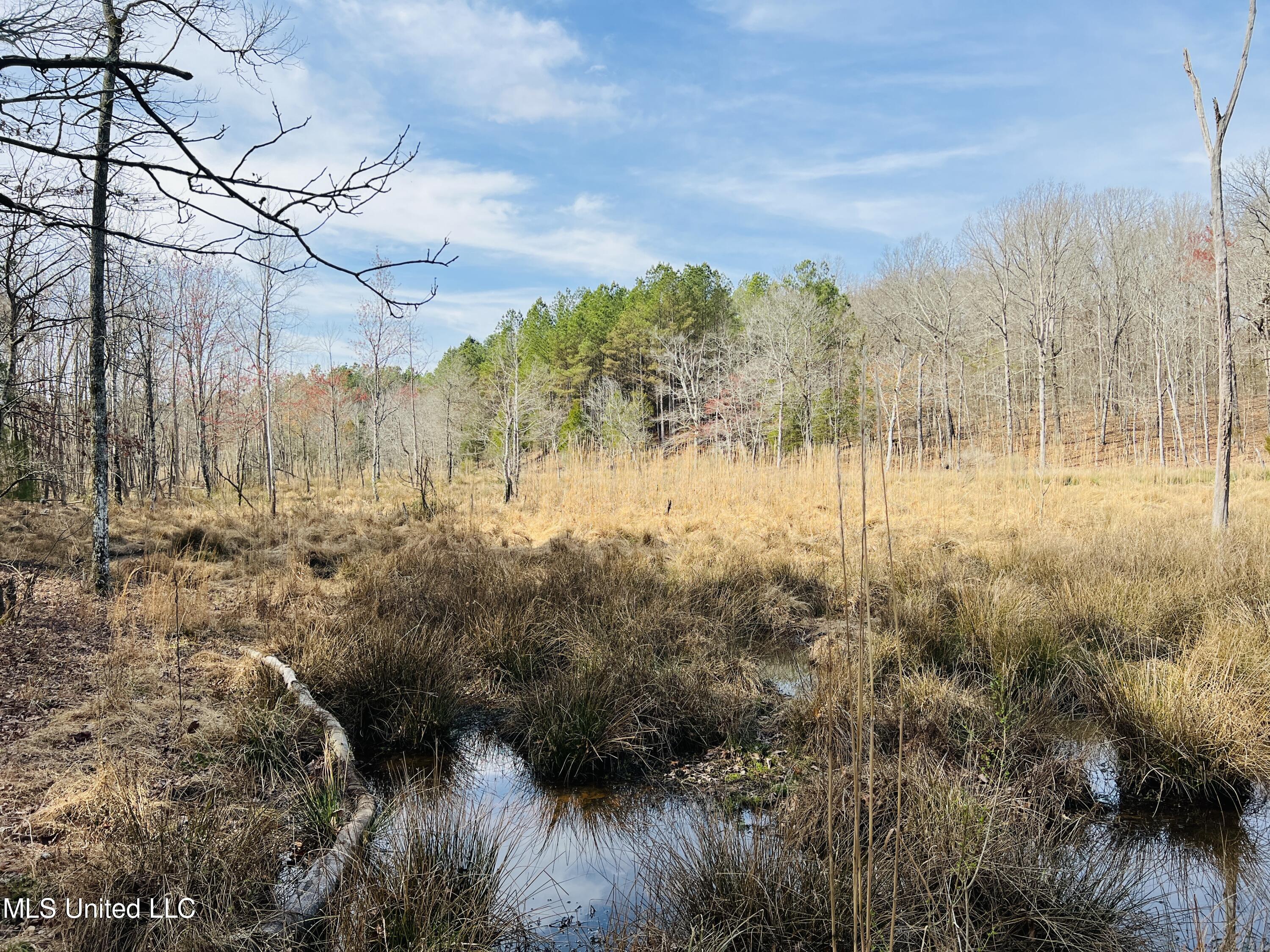 West Ruffin Road Enid, MS 38927 - Photo 10 of 40 28