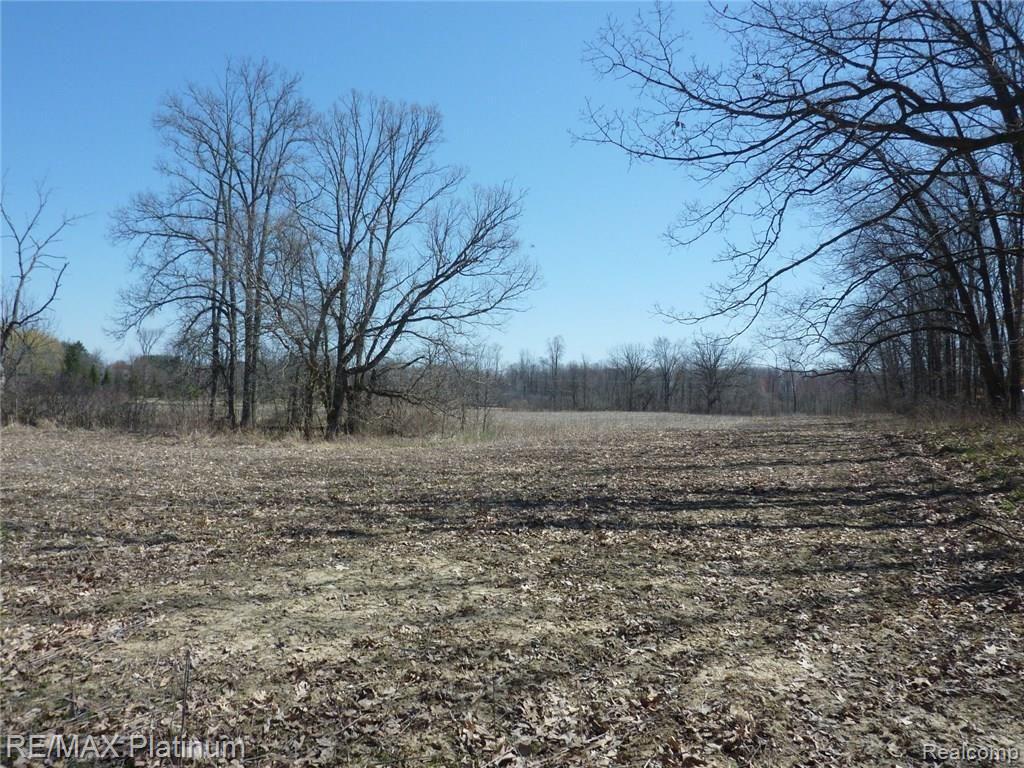 Vl Musson Howell, MI 48855 - Photo 8 of 8