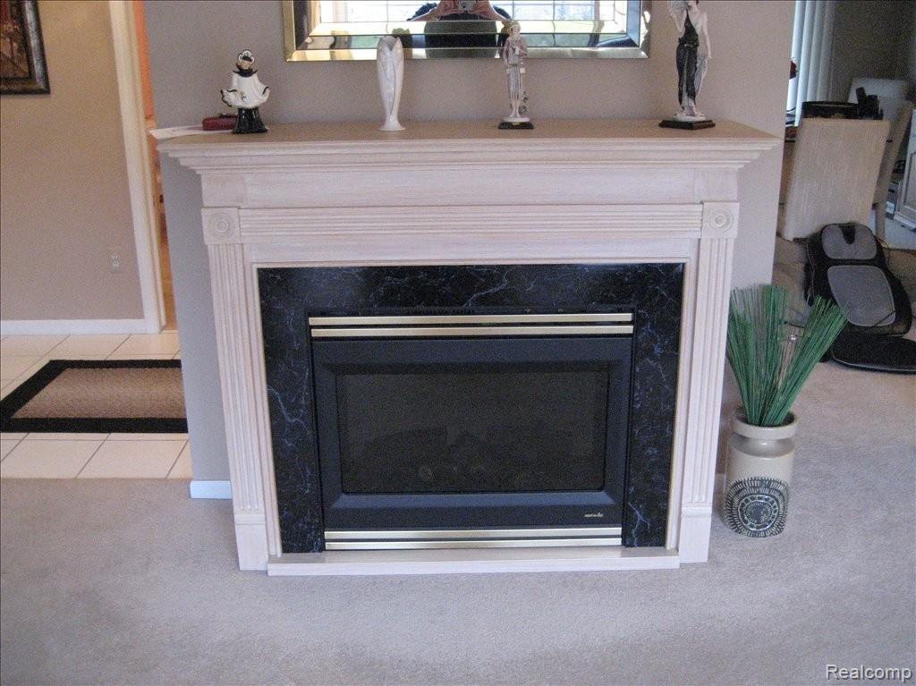 29676 Middlebelt Road, Unit 1202 Farmington, MI 48334 - Photo 8 of 16 Fireplace in Living Room