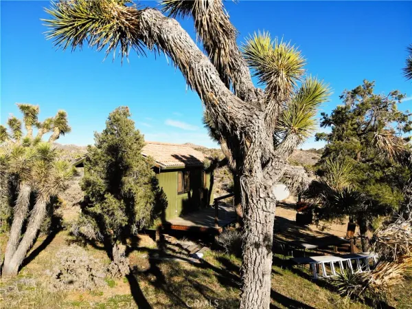 a view of a yard of a house