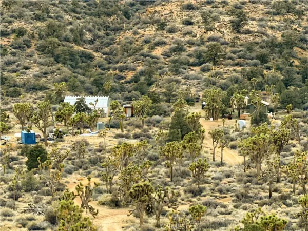 a view of a big yard