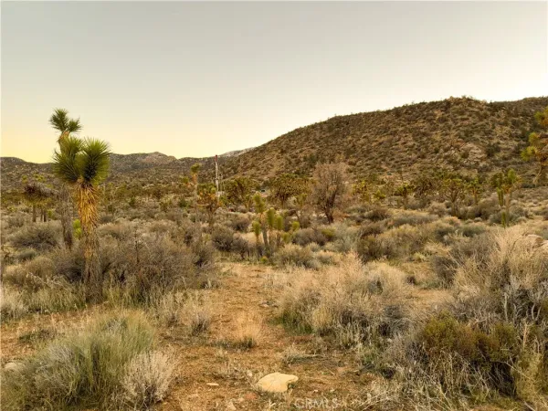 a view of a mountain