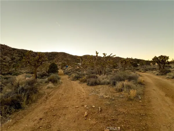 a view of dirt field with trees in background
