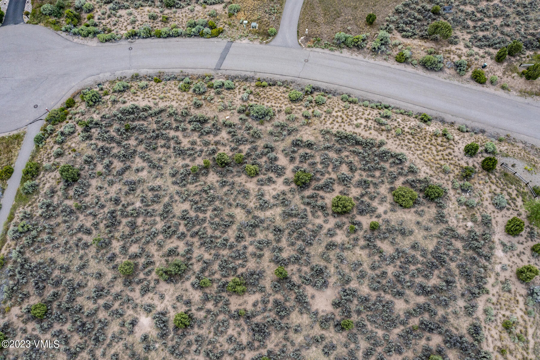 47 Aster Court Eagle, CO 81631 - Photo 14 of 17 a view of a yard with a large tree