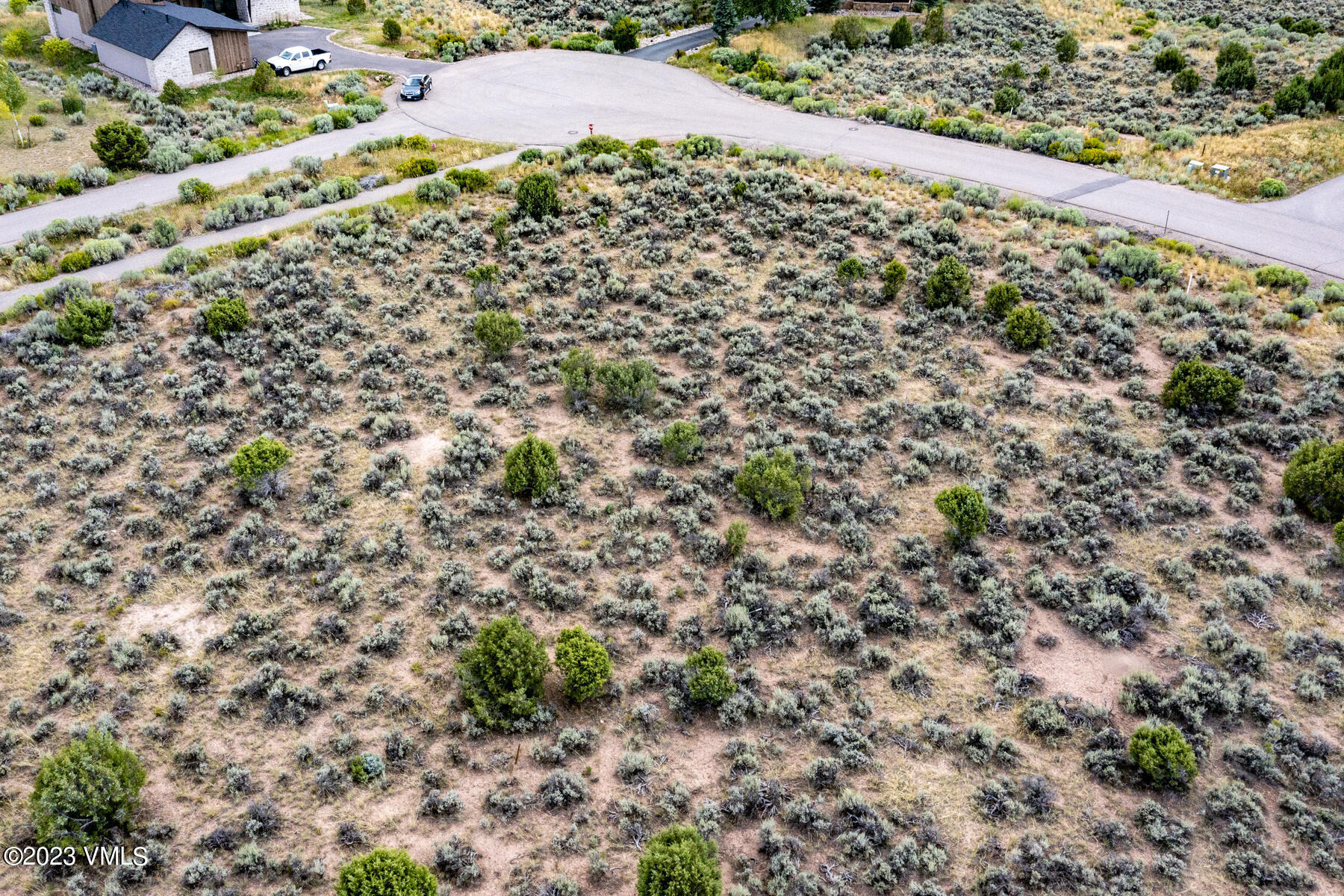 47 Aster Court Eagle, CO 81631 - Photo 7 of 17 a view of a garden with a plant