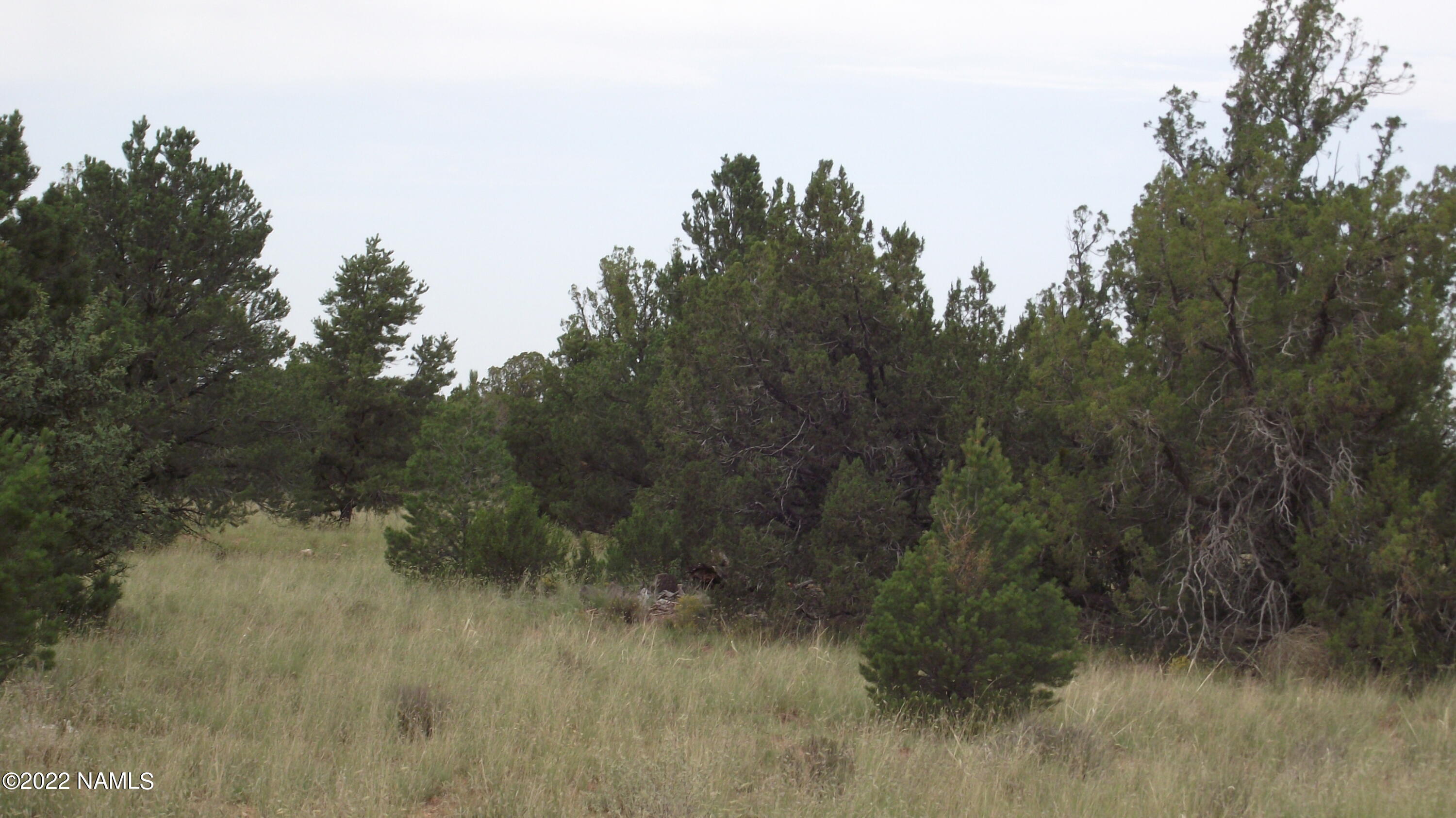 2178 South Mountain View Road Williams, AZ 86046 - Photo 3 of 9 DSCF6407