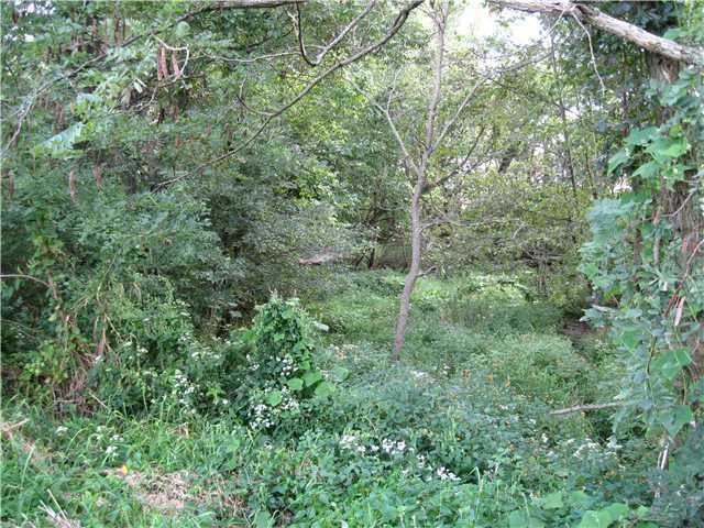 0 Rock Mill Road Lancaster, OH 43130 - Photo 8 of 8