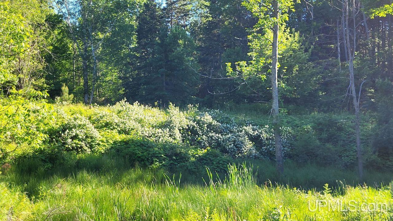 18132 2nd Sand Beach Road Lanse, MI 49946 - Photo 62 of 74 Gallery Image 62