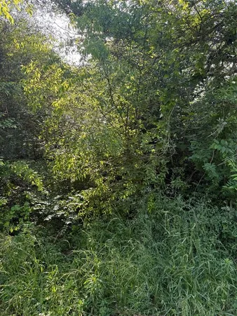 $19,500 | 10946 Clover Lane, Berryville, TX 75763
