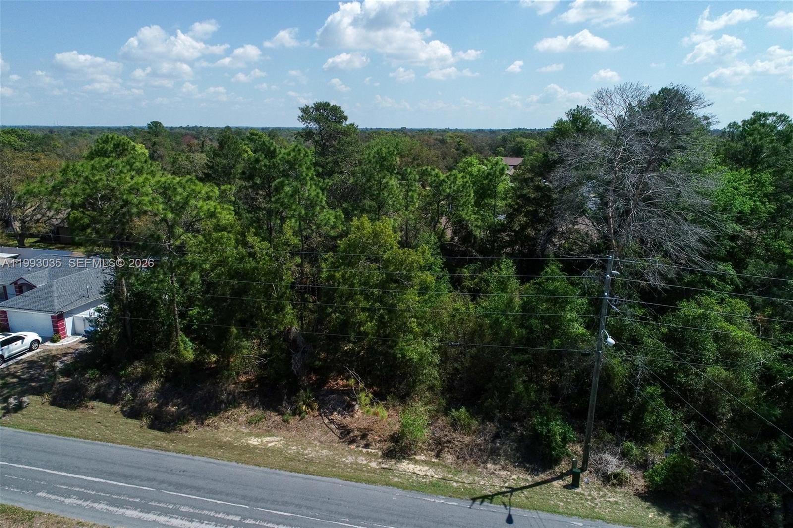 1 Tomahawk Avenue Spring Hill, FL 34606 - Photo 3 of 20 a view of a garden