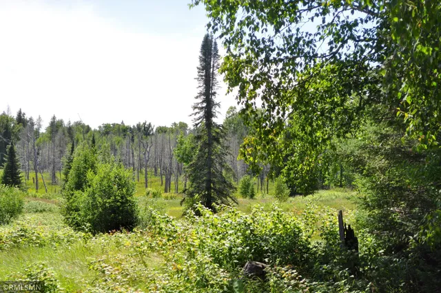 $110,000 | 3228 Gods Wilderness Road, Silver Bay, MN 55614