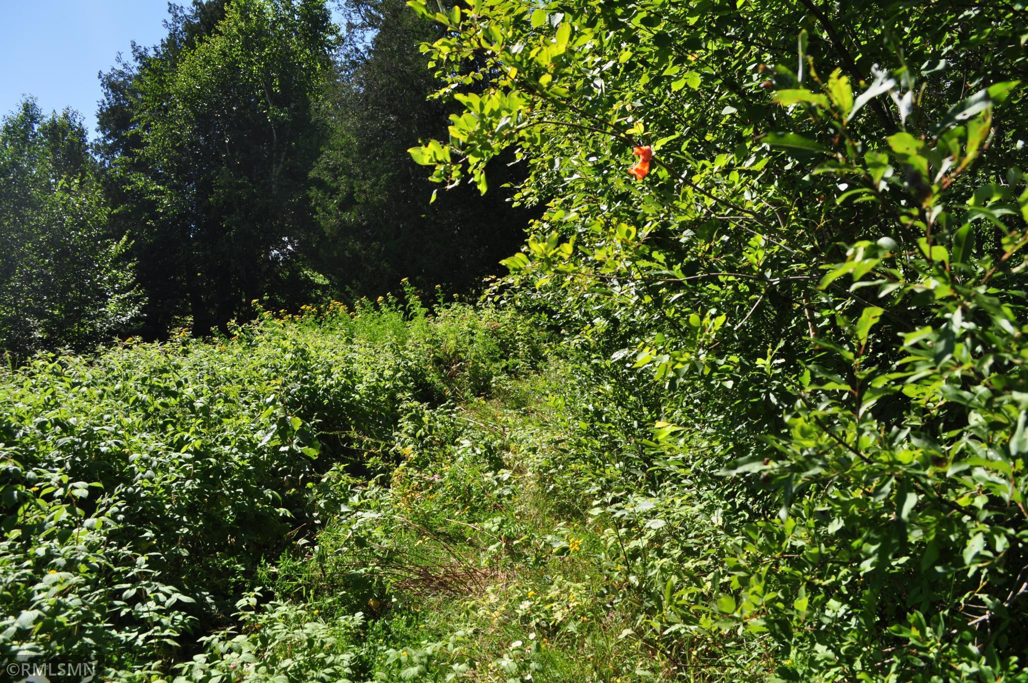 3228 Gods Wilderness Road Silver Bay, MN 55614 - Photo 8 of 22