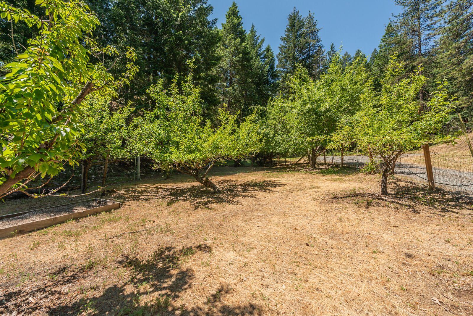 891 Salt Flat Road Lewiston, CA 96052 - Photo 37 of 50