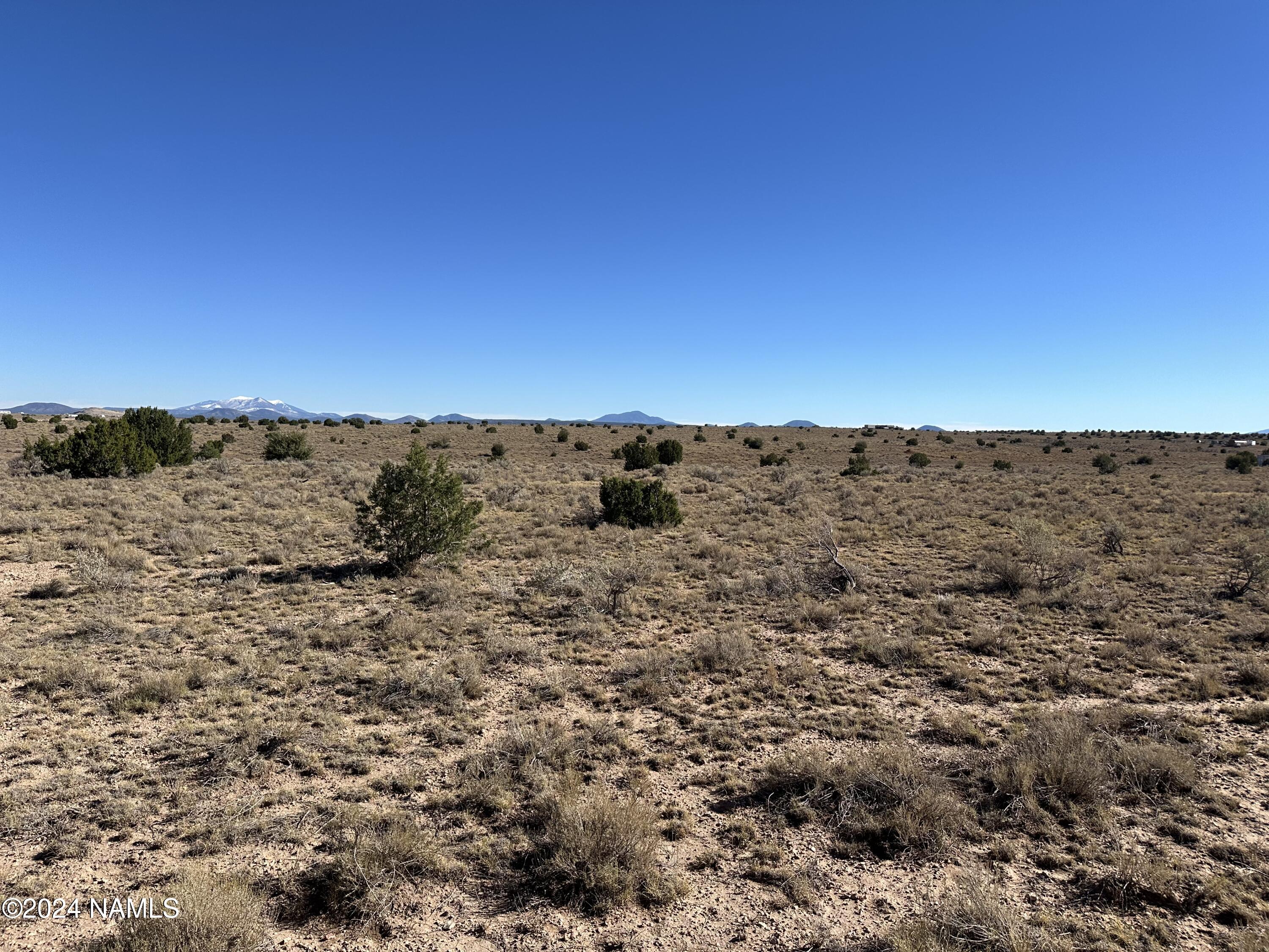 IMG_1226