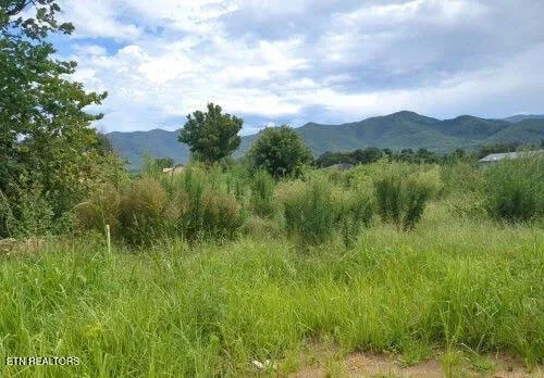 $29,900 | 290 Bill Mauk Road, Chuckey, TN 37641