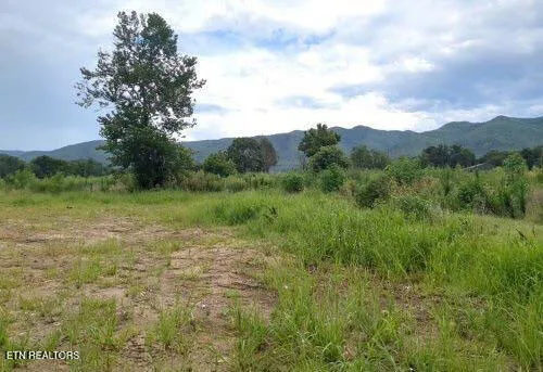 $28,500 | 290 Bill Mauk Road, Chuckey, TN 37641