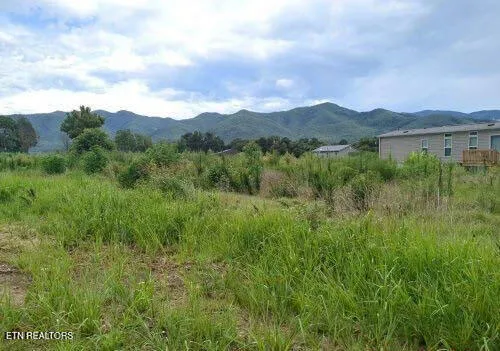 $24,000 | 290 Bill Mauk Road, Chuckey, TN 37641