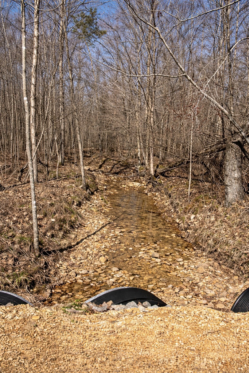 664 Russ Valley Road Lobelville, TN 37097 - Photo 46 of 57 a view of outdoor space and a yard