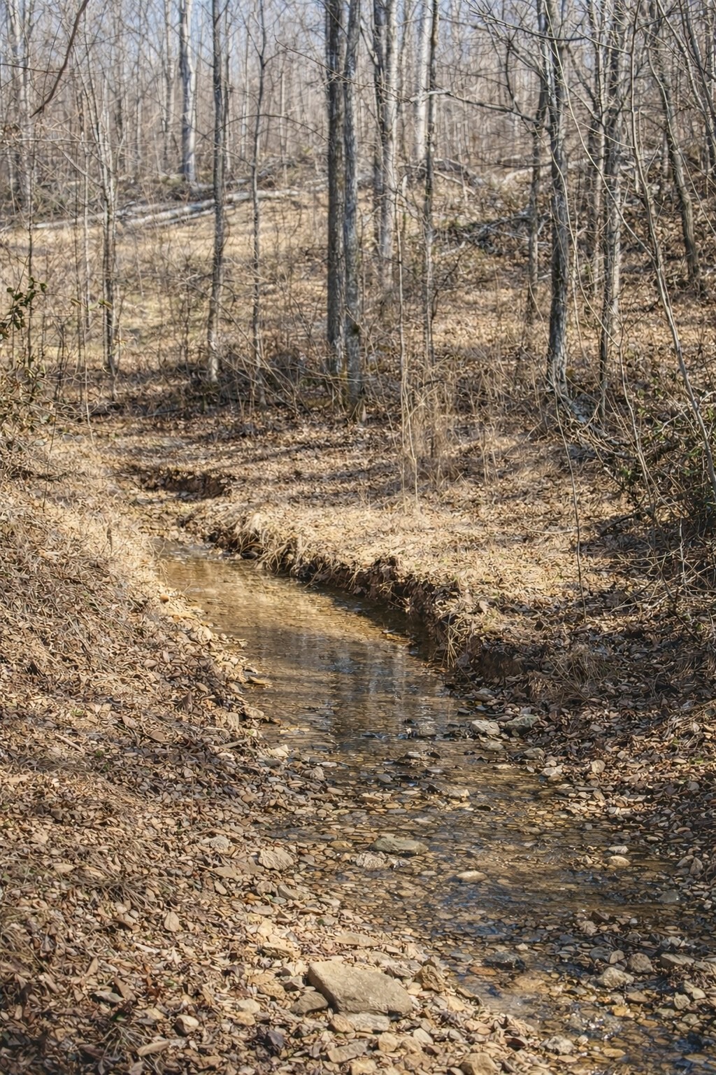 664 Russ Valley Road Lobelville, TN 37097 - Photo 47 of 57 a view of water with tall trees