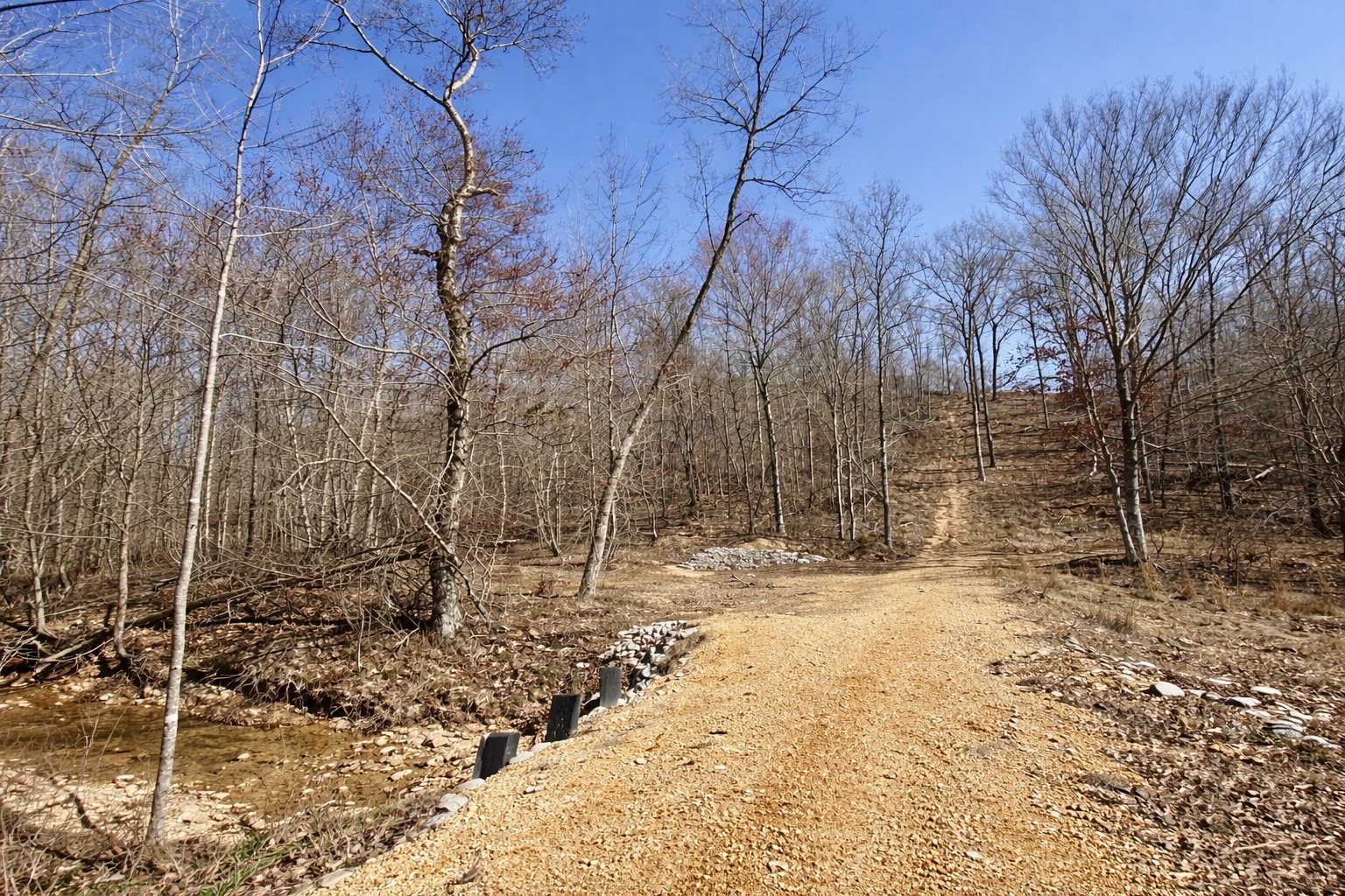 664 Russ Valley Road Lobelville, TN 37097 - Photo 48 of 57